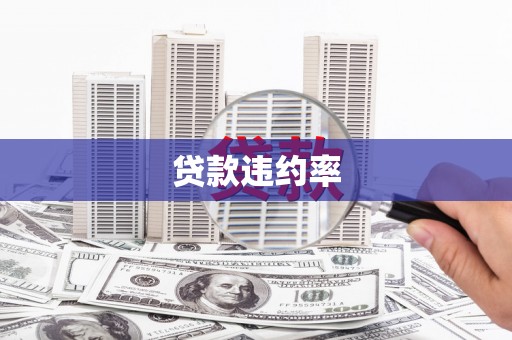 兴庆贷款违约率
