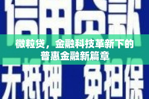 兴庆微粒贷，金融科技革新下的普惠金融新篇章