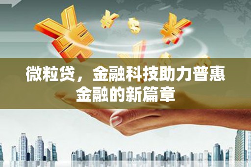 兴庆微粒贷，金融科技助力普惠金融的新篇章