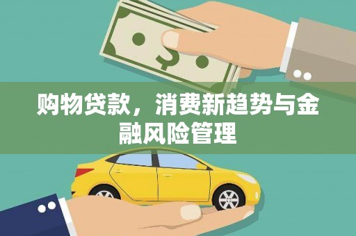 兴庆购物贷款，消费新趋势与金融风险管理