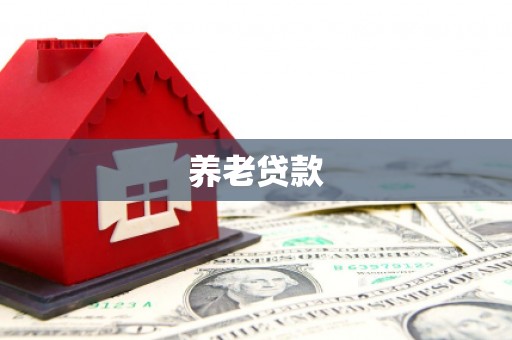 兴庆养老贷款