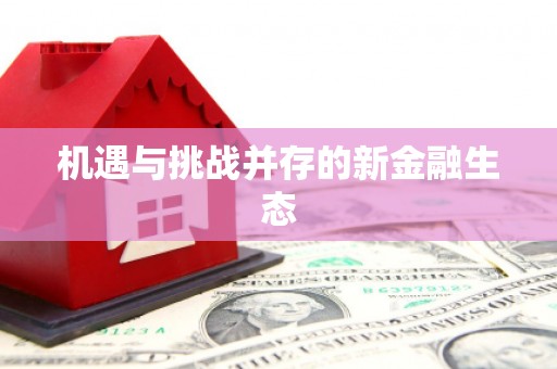 兴庆机遇与挑战并存的新金融生态