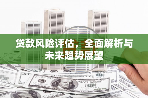 兴庆贷款风险评估，全面解析与未来趋势展望