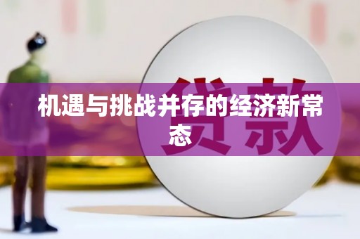 兴庆机遇与挑战并存的经济新常态