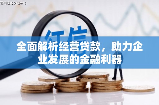 兴庆全面解析经营贷款，助力企业发展的金融利器
