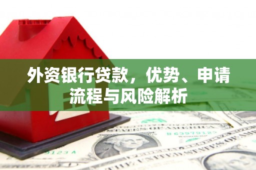 兴庆外资银行贷款，优势、申请流程与风险解析