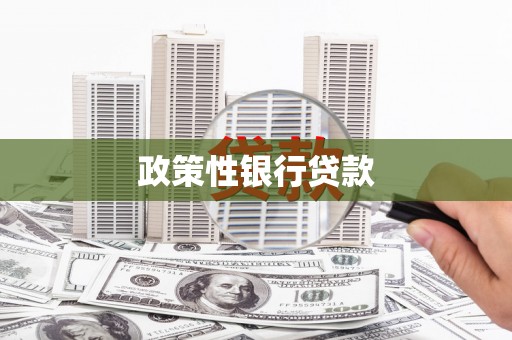 兴庆政策性银行贷款
