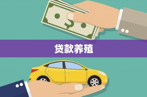兴庆贷款养殖
