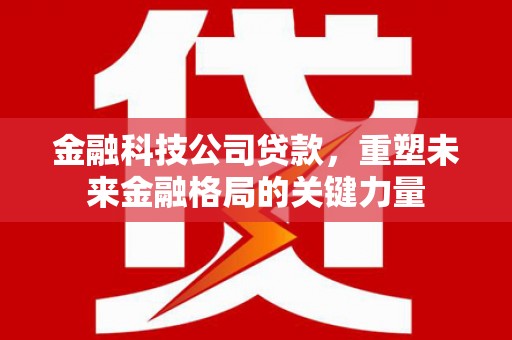 兴庆金融科技公司贷款，重塑未来金融格局的关键力量