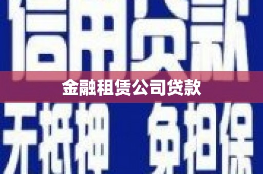 兴庆金融租赁公司贷款