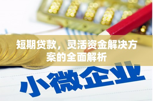 兴庆短期贷款，灵活资金解决方案的全面解析
