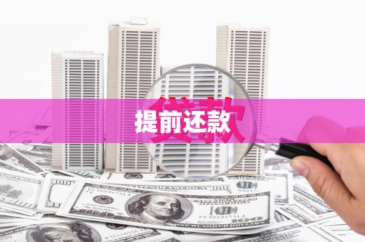 兴庆提前还款