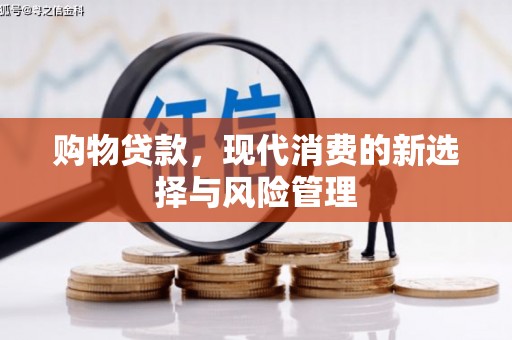 兴庆购物贷款，现代消费的新选择与风险管理