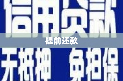 兴庆提前还款