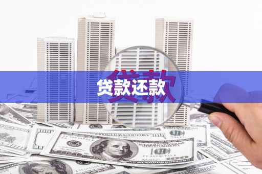 兴庆贷款还款