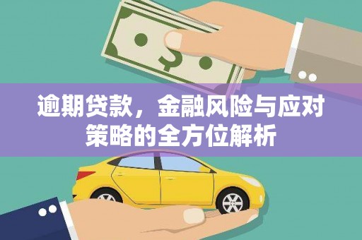 兴庆逾期贷款，金融风险与应对策略的全方位解析
