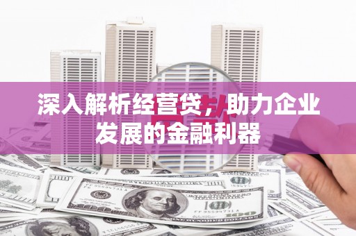 兴庆深入解析经营贷，助力企业发展的金融利器
