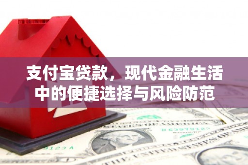 兴庆支付宝贷款，现代金融生活中的便捷选择与风险防范
