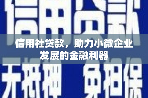 兴庆信用社贷款，助力小微企业发展的金融利器