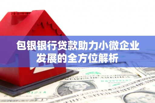 兴庆包银银行贷款助力小微企业发展的全方位解析