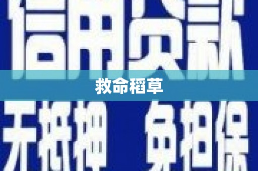 兴庆救命稻草