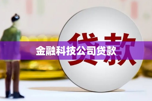 兴庆金融科技公司贷款