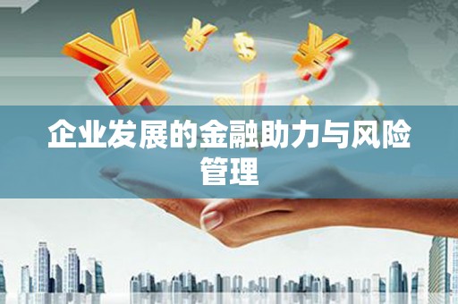 兴庆企业发展的金融助力与风险管理