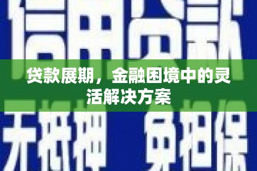 兴庆贷款展期，金融困境中的灵活解决方案