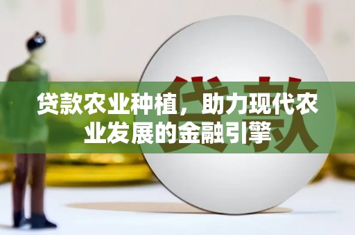 兴庆贷款农业种植，助力现代农业发展的金融引擎