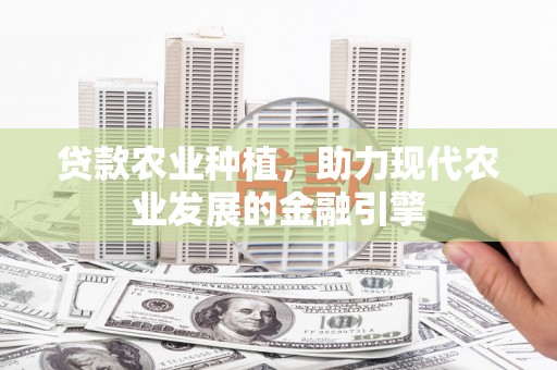 兴庆贷款农业种植，助力现代农业发展的金融引擎