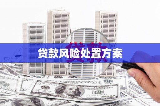 兴庆贷款风险处置方案