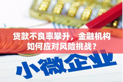 兴庆贷款不良率攀升，金融机构如何应对风险挑战？