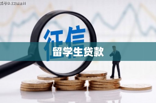 兴庆留学生贷款