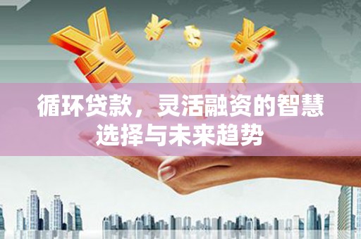 兴庆循环贷款，灵活融资的智慧选择与未来趋势