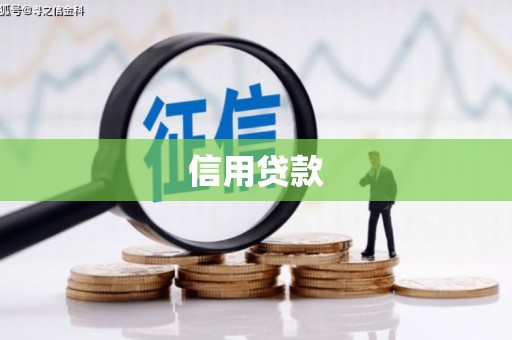 兴庆信用贷款