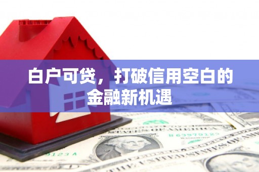 兴庆白户可贷，打破信用空白的金融新机遇