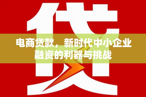 兴庆电商贷款，新时代中小企业融资的利器与挑战