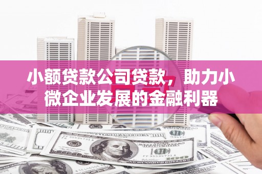 兴庆小额贷款公司贷款，助力小微企业发展的金融利器