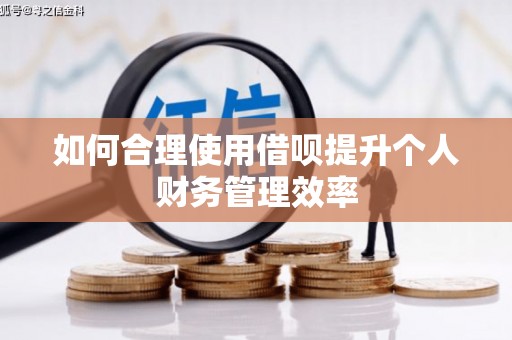 兴庆如何合理使用借呗提升个人财务管理效率
