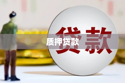 兴庆质押贷款