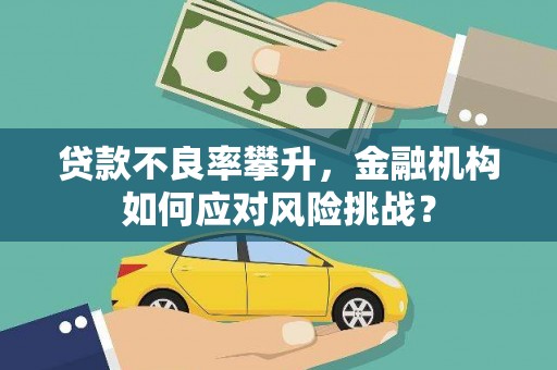 兴庆贷款不良率攀升，金融机构如何应对风险挑战？