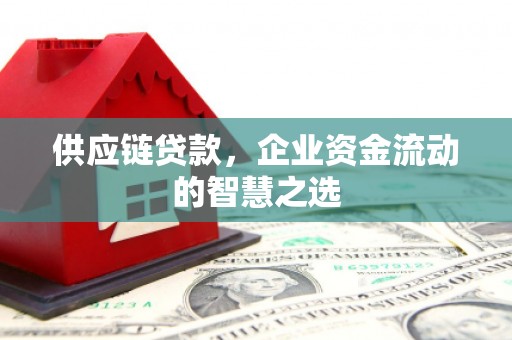 兴庆供应链贷款，企业资金流动的智慧之选