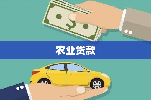 兴庆农业贷款