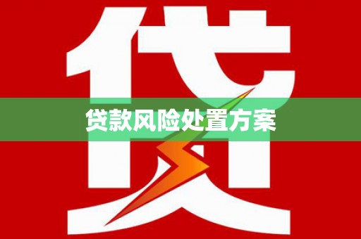 兴庆贷款风险处置方案