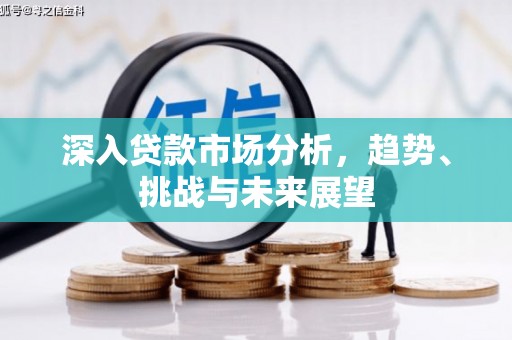 兴庆深入贷款市场分析，趋势、挑战与未来展望
