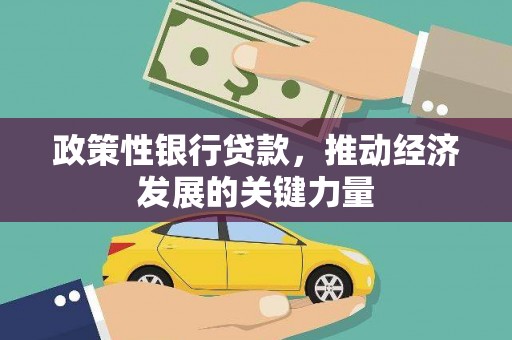 兴庆政策性银行贷款，推动经济发展的关键力量