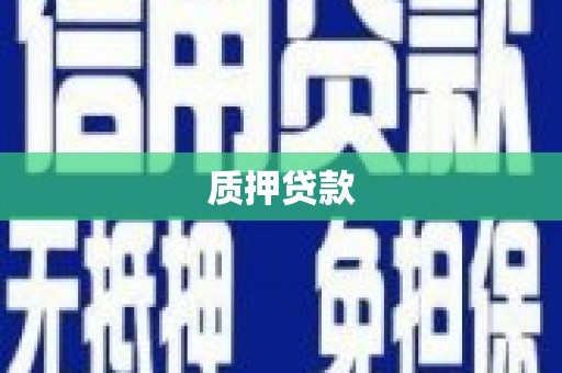 兴庆质押贷款