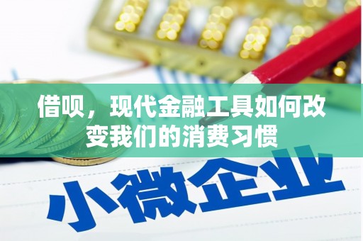 兴庆借呗，现代金融工具如何改变我们的消费习惯