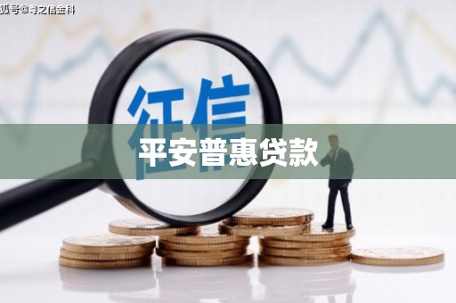 兴庆平安普惠贷款