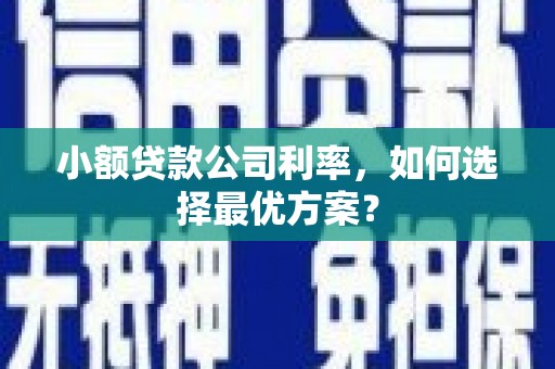 兴庆小额贷款公司利率，如何选择最优方案？